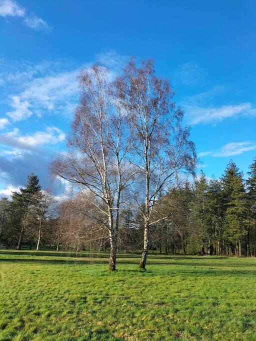Le Jardin Medicis Avec Spa Privatif Tredion Bagian luar foto